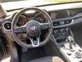 Alfa Romeo Stelvio Stelvio 2.2 Turbodiesel 160 CV AT8 RWD Business Gris - thumbnail 14
