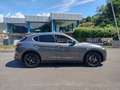 Alfa Romeo Stelvio Stelvio 2.2 Turbodiesel 160 CV AT8 RWD Business Gris - thumbnail 4