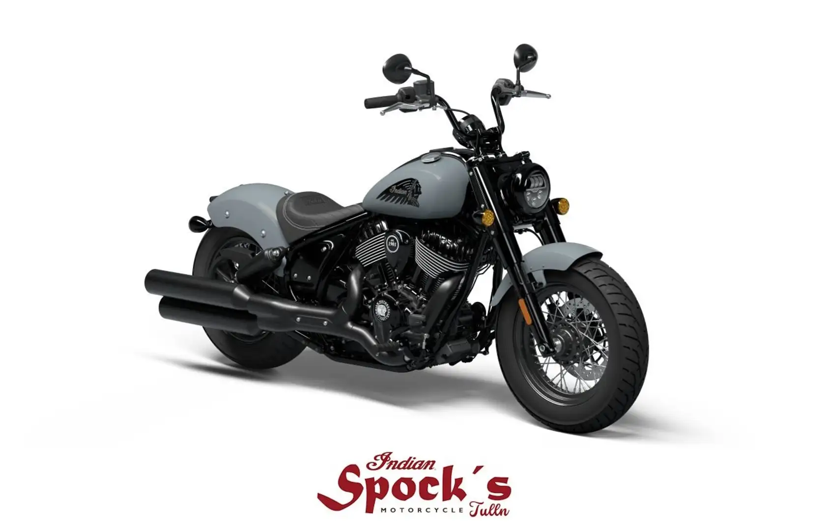 Indian Chief Gris - 1