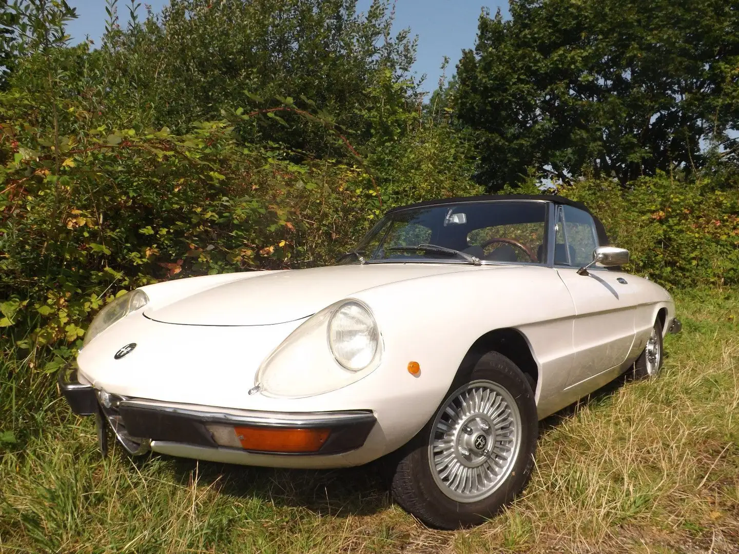 Alfa Romeo Spider 2000-nahezu perfekt & äußerst attraktiv!! Fehér - 2