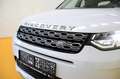 Land Rover Discovery Sport DISCOVERY SPORT 2.0 TD4 150cv R-Dynamic 4WD aut. Weiß - thumbnail 12