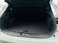 Nissan Qashqai 1.3 mhev N-Connecta 2wd 140cv - thumbnail 21