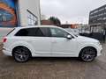 Audi SQ7 4.0 TDI Quattro/ACC/Luftfed/360/AHK/7-Sitzer Weiß - thumbnail 8