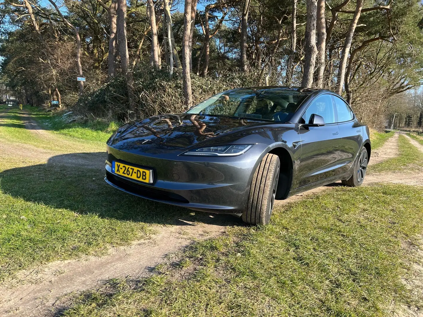 Tesla Model 3 Model 3 RWD 60 kWh Grijs - 1