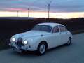 Jaguar MK II 240 Weiß - thumbnail 15