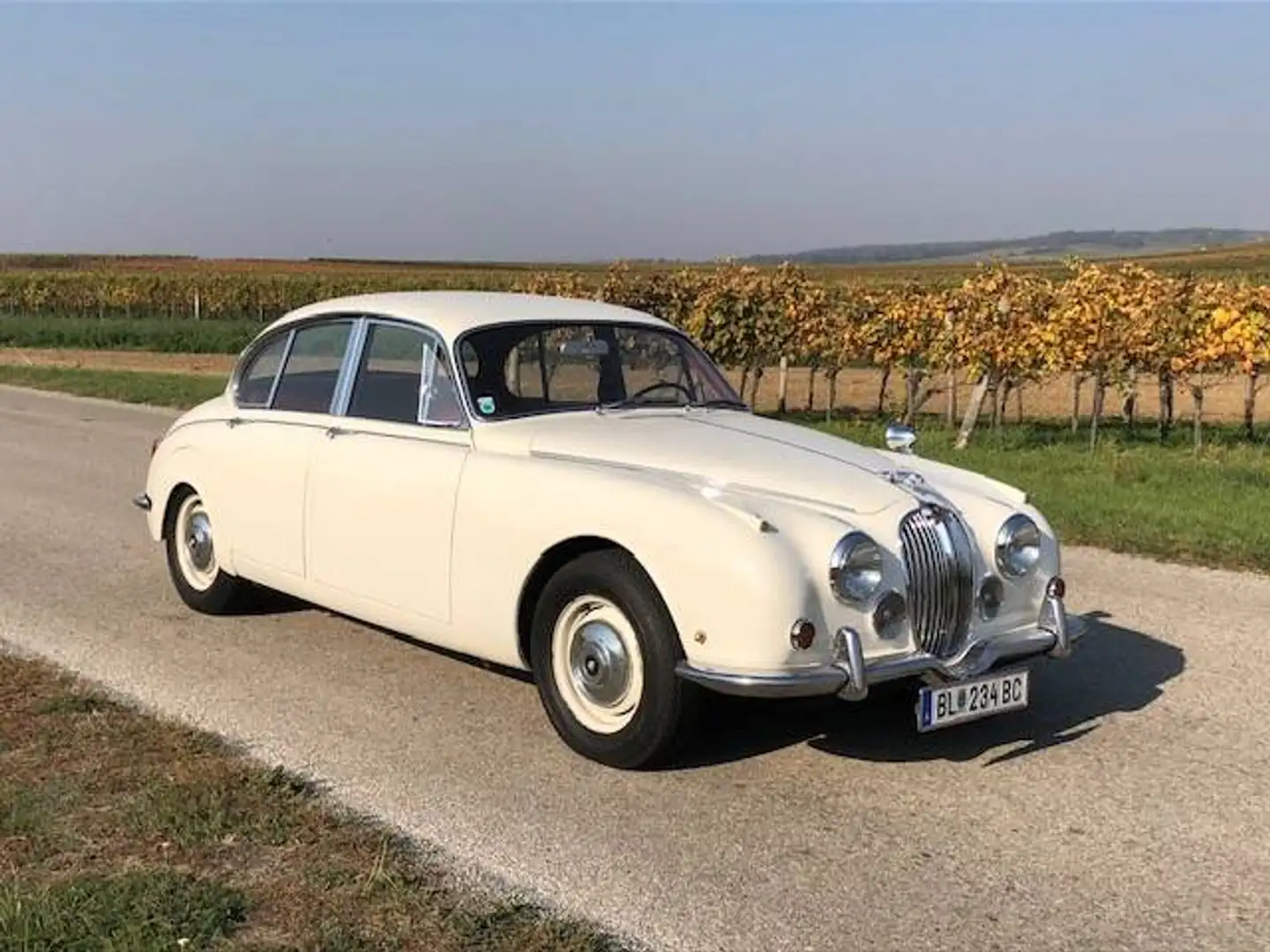 Jaguar MK II 240 Weiß - 1