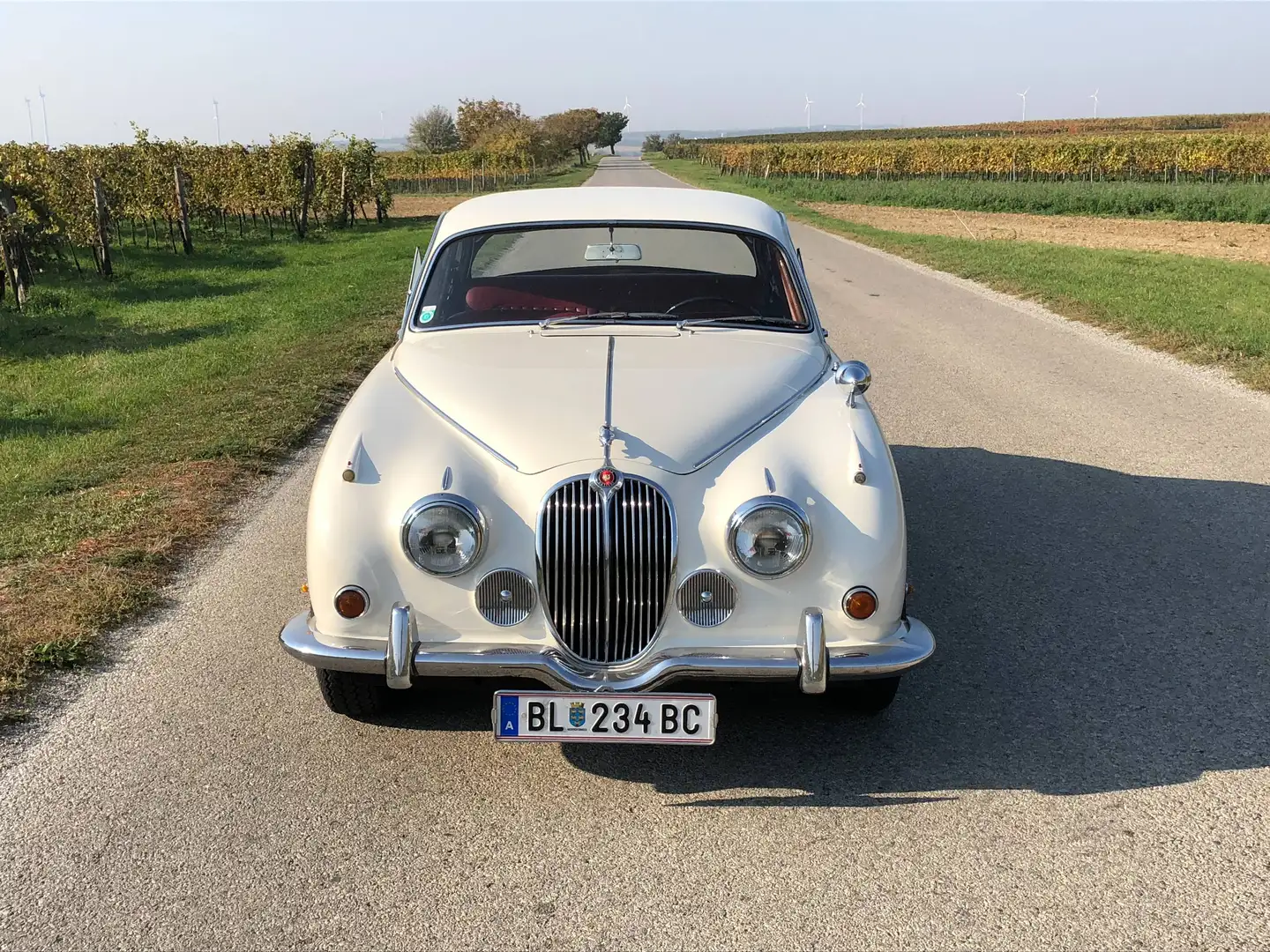 Jaguar MK II 240 Weiß - 2