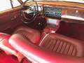 Jaguar MK II 240 Weiß - thumbnail 9