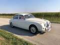 Jaguar MK II 240 Weiß - thumbnail 10