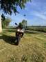 Triumph Daytona 675 - thumbnail 10