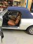 Peugeot 504 Cabrio V6 Wit - thumbnail 4