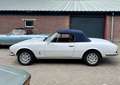 Peugeot 504 Cabrio V6 Blanco - thumbnail 3