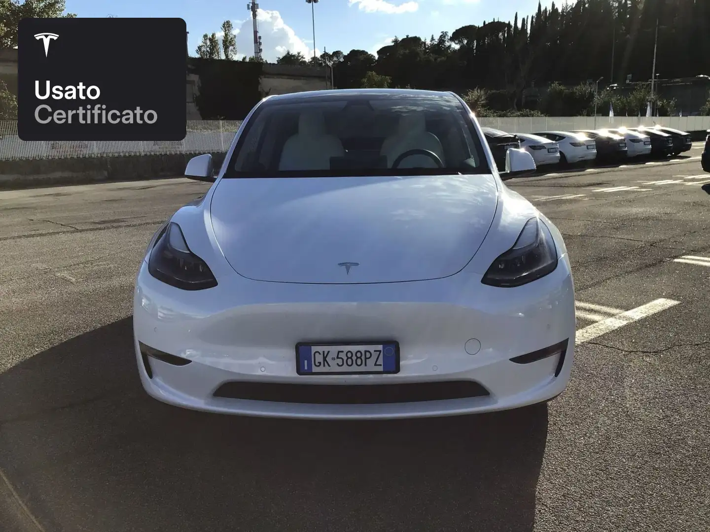 Tesla Model Y Long Range AWD Bianco - 2