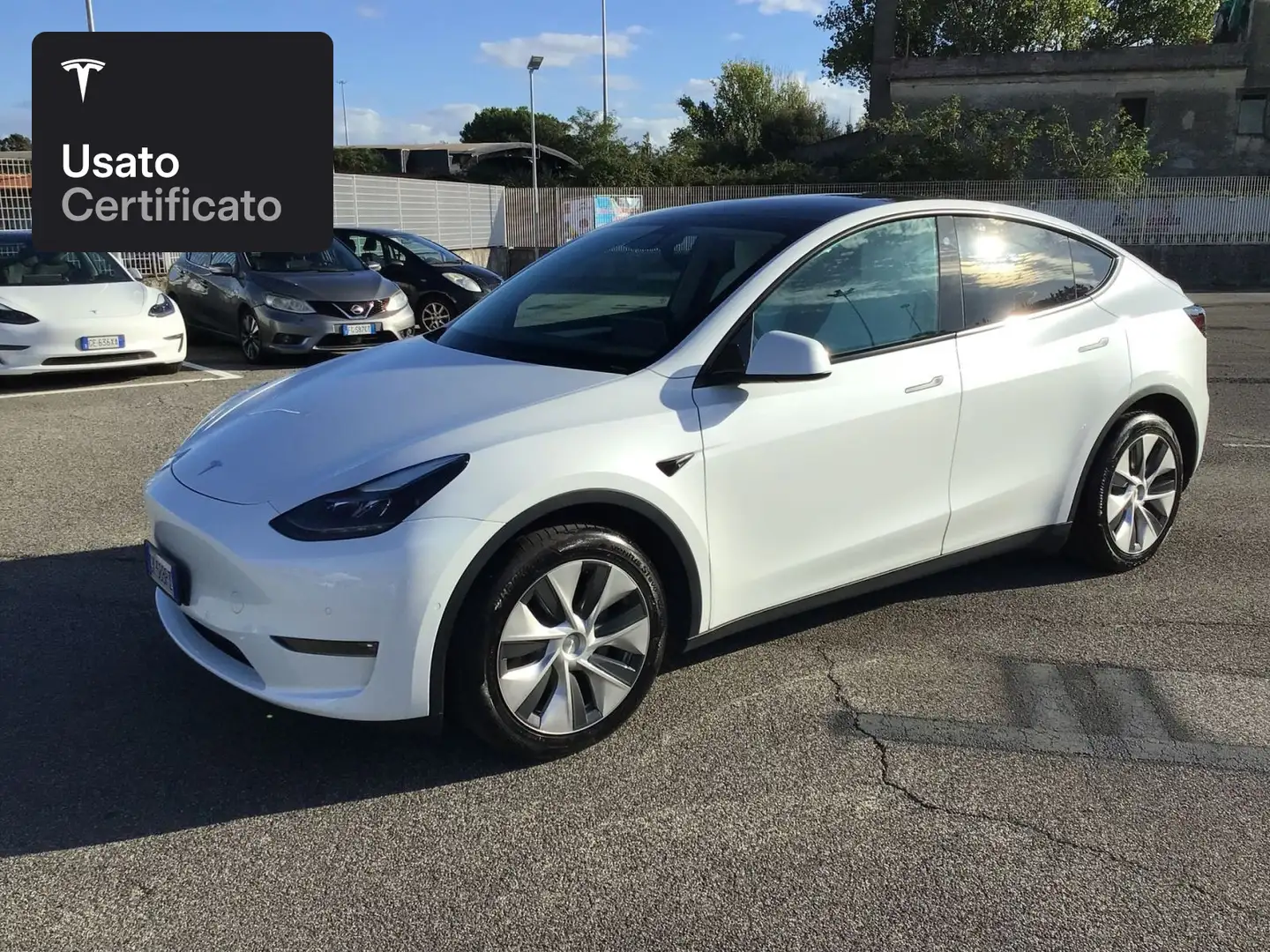 Tesla Model Y Long Range AWD Bianco - 1