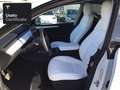 Tesla Model Y Long Range AWD Bianco - thumbnail 12