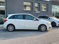 Mercedes-Benz B 180 B 180 cdi Executive auto Bianco - thumbnail 8