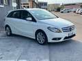 Mercedes-Benz B 180 B 180 cdi Executive auto Bianco - thumbnail 2