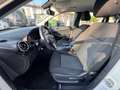 Mercedes-Benz B 180 B 180 cdi Executive auto Bianco - thumbnail 13
