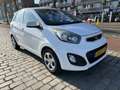 Kia Picanto 1.0 CVVT ISG Comfort Pack 5 deurs airco apk  nieuw Wit - thumbnail 4