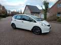 Honda Jazz TÜV NEU Weiß - thumbnail 4