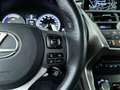 Lexus NX 300h AWD F Sport Line, Panodak! Grau - thumbnail 17