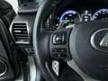 Lexus NX 300h AWD F Sport Line, Panodak! Grau - thumbnail 16