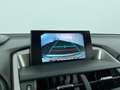 Lexus NX 300h AWD F Sport Line, Panodak! Grau - thumbnail 21