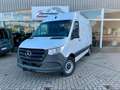 Mercedes-Benz Sprinter SPRINTER III RWD 317CDI/AHK/TÜV+SERVICE NEU Weiß - thumbnail 1