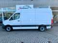 Mercedes-Benz Sprinter SPRINTER III RWD 317CDI/AHK/TÜV+SERVICE NEU Weiß - thumbnail 3