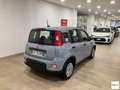 Fiat Panda 1.0 FireFly S&S Hybrid Grigio - thumbnail 3