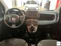 Fiat Panda 1.0 FireFly S&S Hybrid Grigio - thumbnail 11