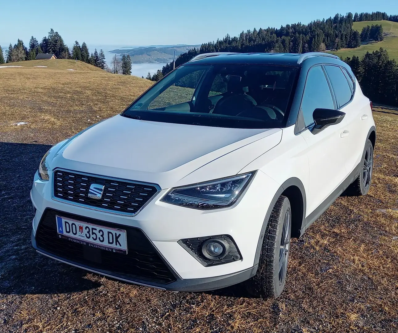 SEAT Arona Arona 1,0 Eco TSI Xcellence Xcellence Weiß - 1