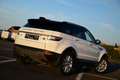 Land Rover Range Rover Evoque 4x4 / LEATHER / SUNROOF / ONLY B2B - OUT OF BE Weiß - thumbnail 3