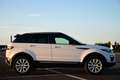 Land Rover Range Rover Evoque 4x4 / LEATHER / SUNROOF / ONLY B2B - OUT OF BE Weiß - thumbnail 12