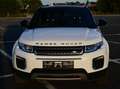 Land Rover Range Rover Evoque 4x4 / LEATHER / SUNROOF / ONLY B2B - OUT OF BE Weiß - thumbnail 9