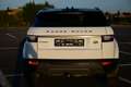 Land Rover Range Rover Evoque 4x4 / LEATHER / SUNROOF / ONLY B2B - OUT OF BE Weiß - thumbnail 7