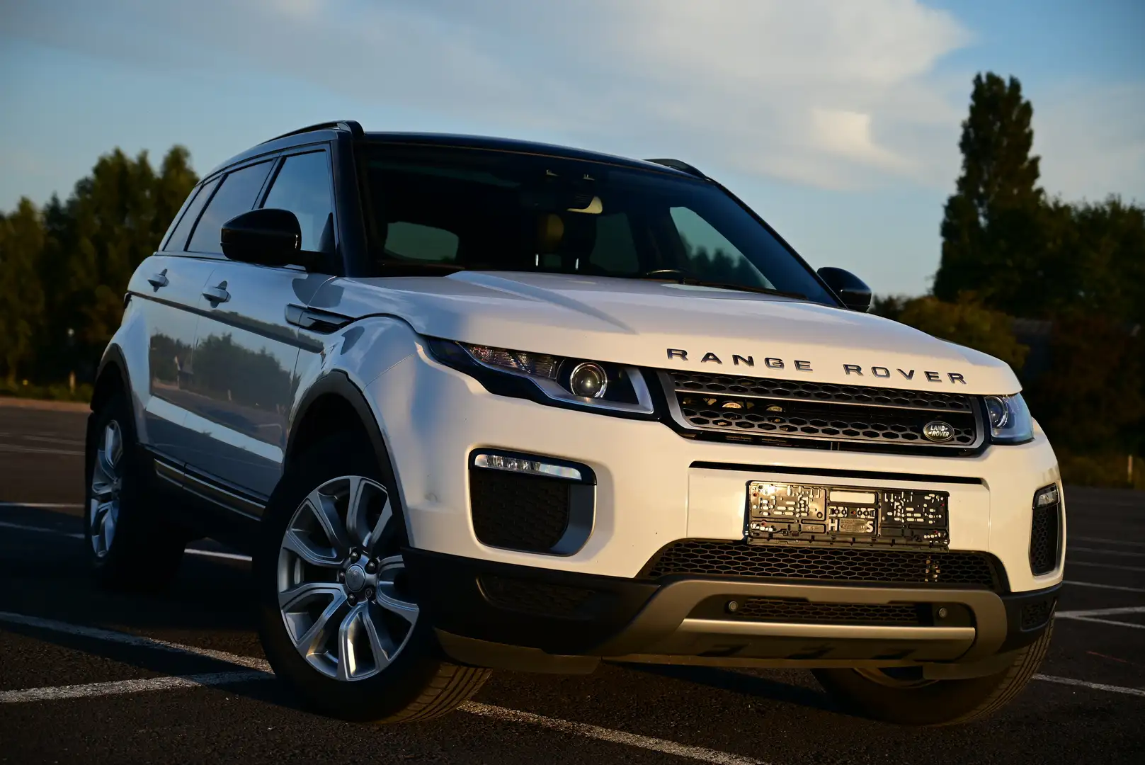 Land Rover Range Rover Evoque 4x4 / LEATHER / SUNROOF / ONLY B2B - OUT OF BE Weiß - 2