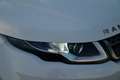 Land Rover Range Rover Evoque 4x4 / LEATHER / SUNROOF / ONLY B2B - OUT OF BE Weiß - thumbnail 29