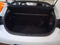 Kia Rio 1.2 MPi 5 porte Eco GPL Alb - thumbnail 13