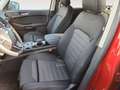 Ford Galaxy Titanium 2,5L FHEV **Ergonomie-Sitz** Rood - thumbnail 14