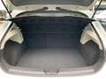 SEAT Leon 1.5 TGI 130 PS DSG FR +LED+PDC+SHZ+NAV+GRA+ Weiß - thumbnail 12