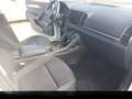 Skoda Karoq Karoq 2017 2.0 tdi evo S-Tech 115cv dsg - GG170RS Bianco - thumbnail 6