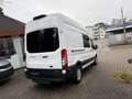 Ford Transit Kasten 350 L3 H2 Navi AHK Blanc - thumbnail 9