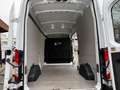Ford Transit Kasten 350 L3 H2 Navi AHK Blanc - thumbnail 14