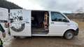 Volkswagen T6 Transporter - thumbnail 4