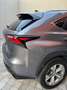 Lexus NX 300 NX 300h Full-Hybrid AWD - Luxury Grigio - thumbnail 6