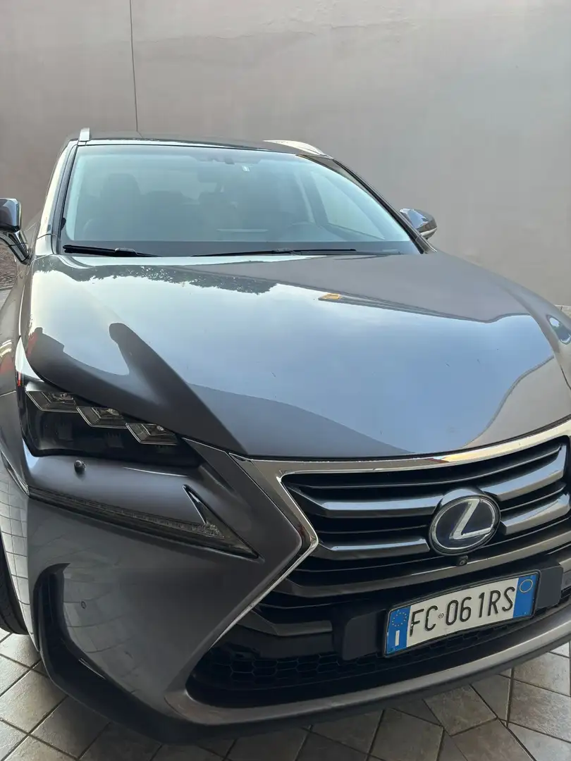 Lexus NX 300 NX 300h Full-Hybrid AWD - Luxury Grigio - 2