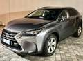 Lexus NX 300 NX 300h Full-Hybrid AWD - Luxury Grigio - thumbnail 1