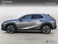 Lexus UX 250h 2WD EXECUTIVE PLUS Gris - thumbnail 3