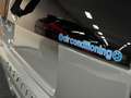 Casalini M20 550 GRANSPORT NARDO GRAU | KLIMA /  Navi / M.MEDIA - thumbnail 21
